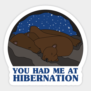 You Had Me at Hibernation - Brown Bear Sticker